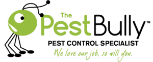 Pest Bully termite and pest control brisbane
