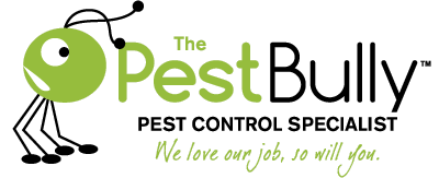Pest Bully termite and pest control brisbane