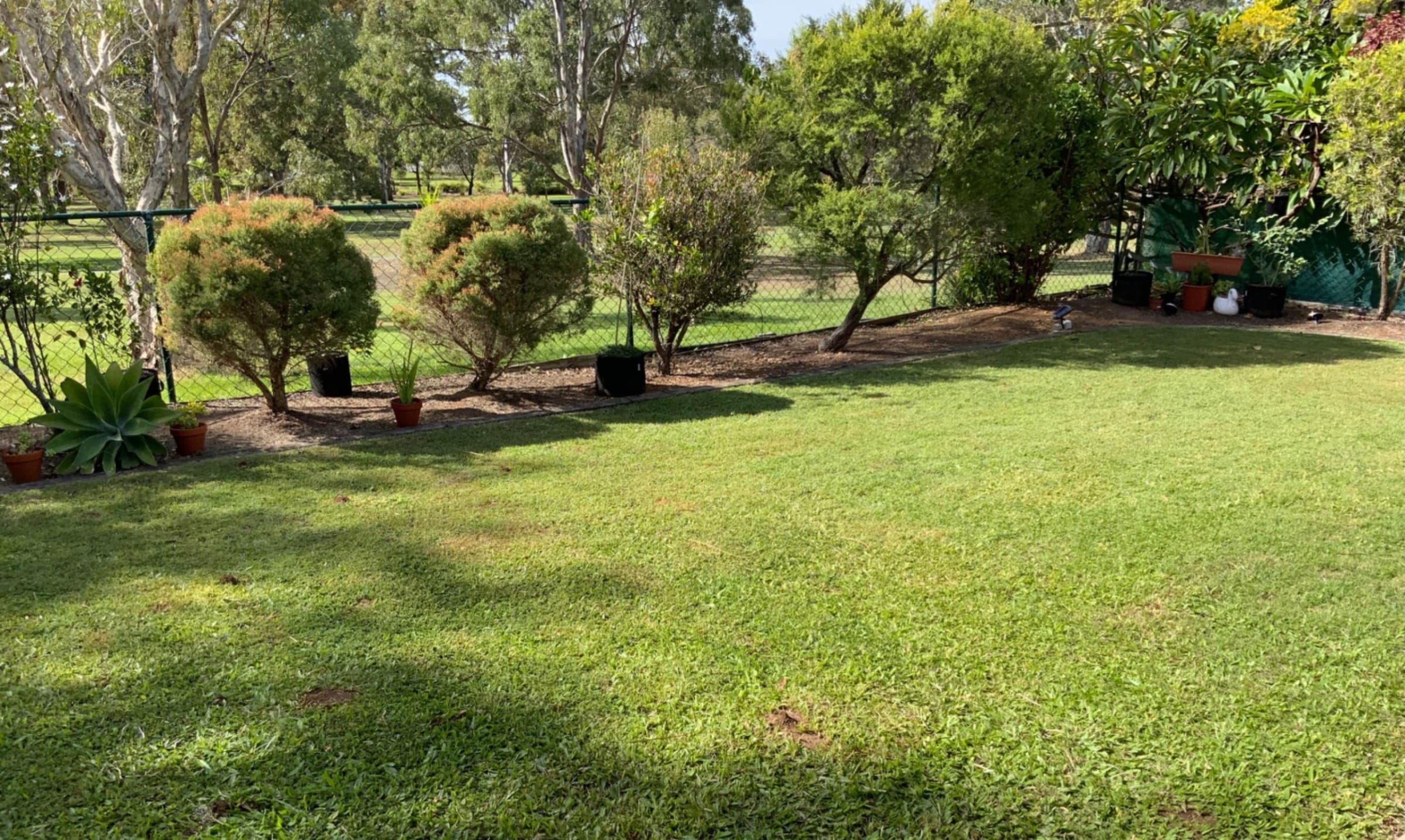 64bdb7ea-e51a-442f-bfd6-7262d75ee8d8-Zillmere-1